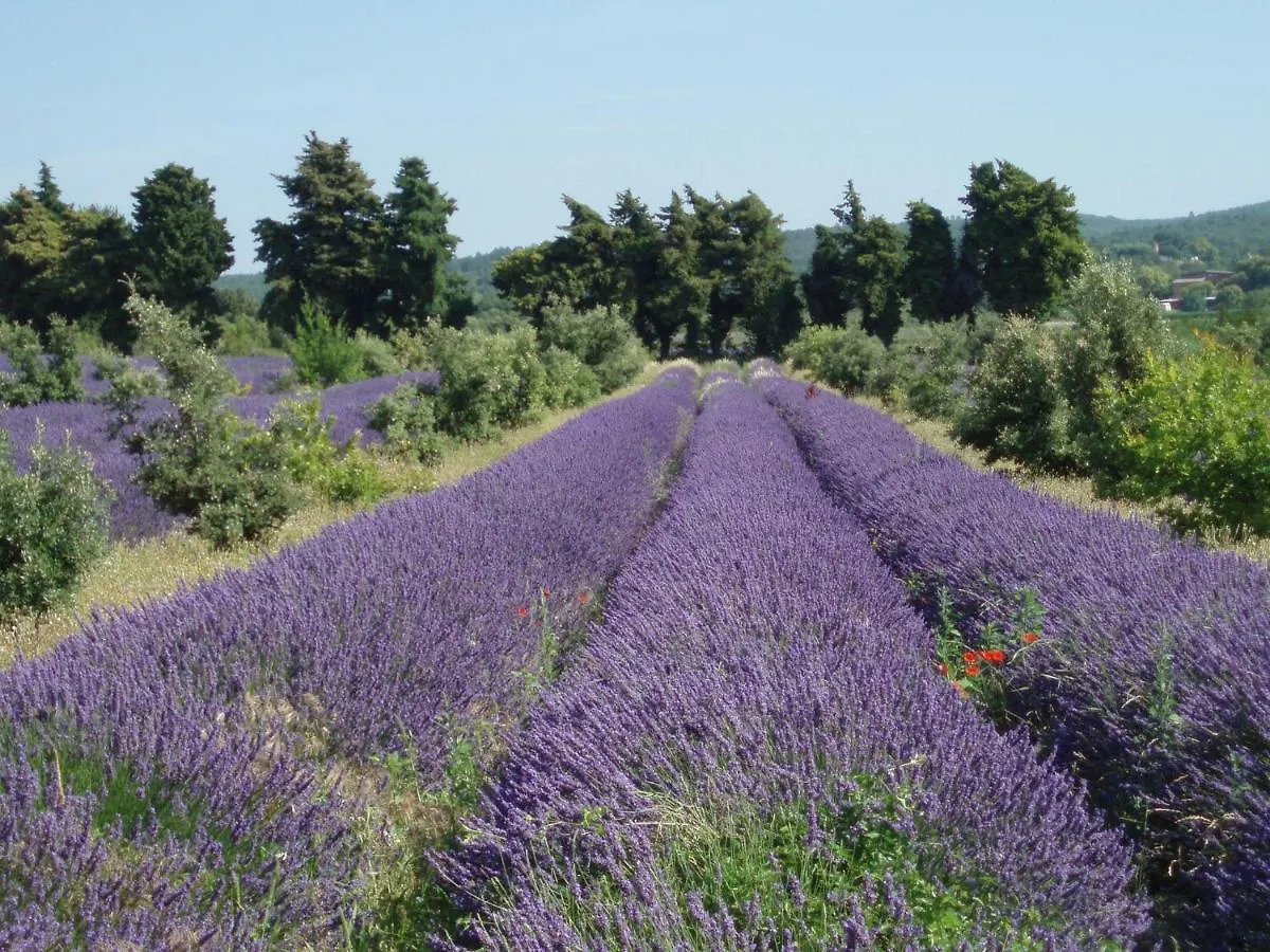 Clos Des 3 Ruisseaux Taulignan